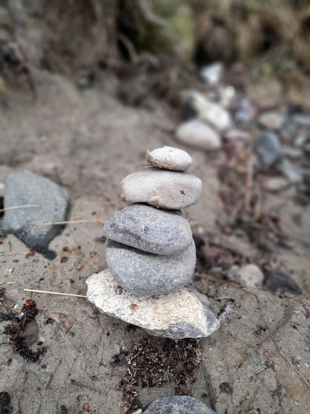 Balanciert gestapelte Steine an einem Strand